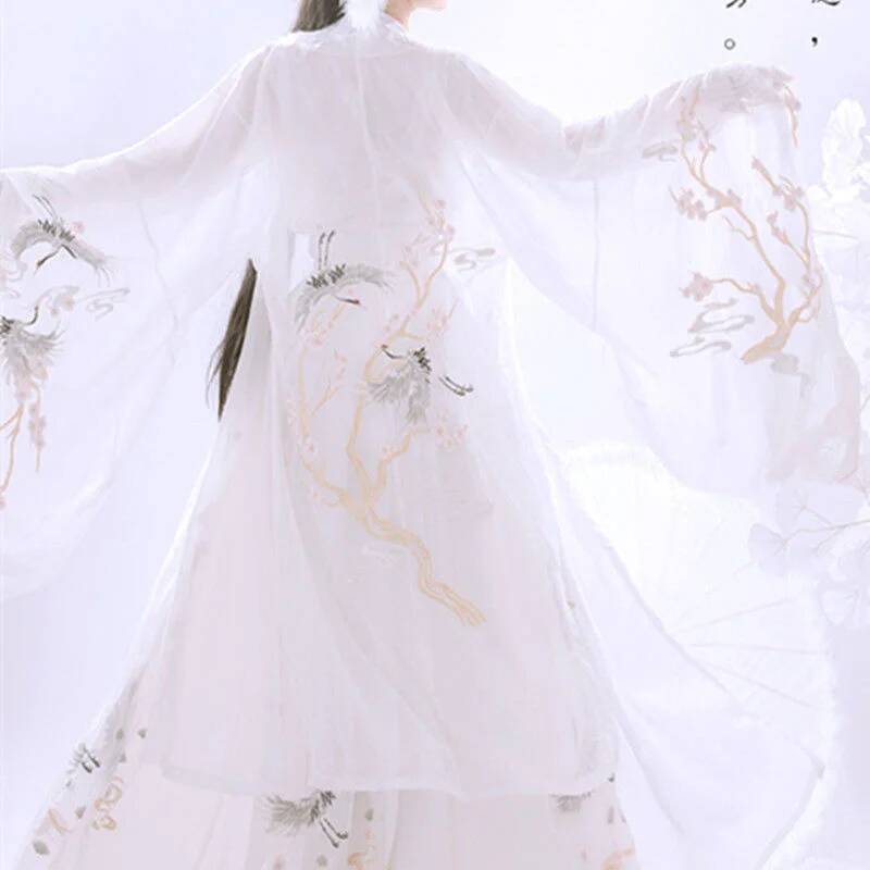 Çin Antik Hanfu kadın Ağır San - Embroidery Dress incelemesi ve fiyatı